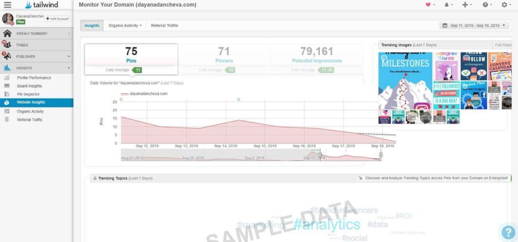 website insights